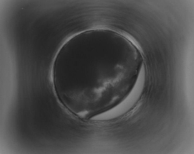 X0000101090958200806261449