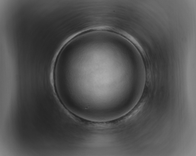 X0000101090959200806261449