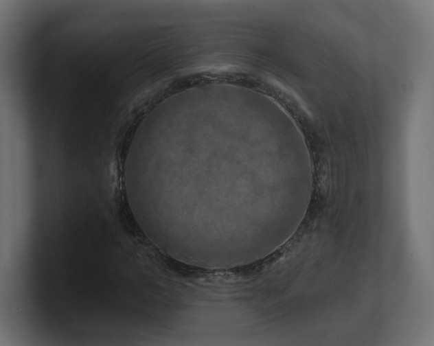 X0000101090966200806261448