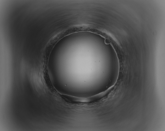 X0000101090967200806261448