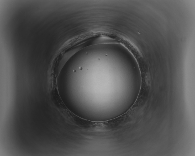 X0000101090968200806261448