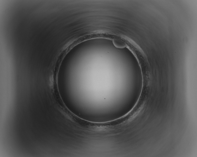 X0000101090969200806261448