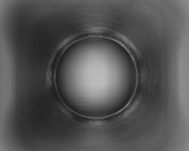 X0000101090970200806261448