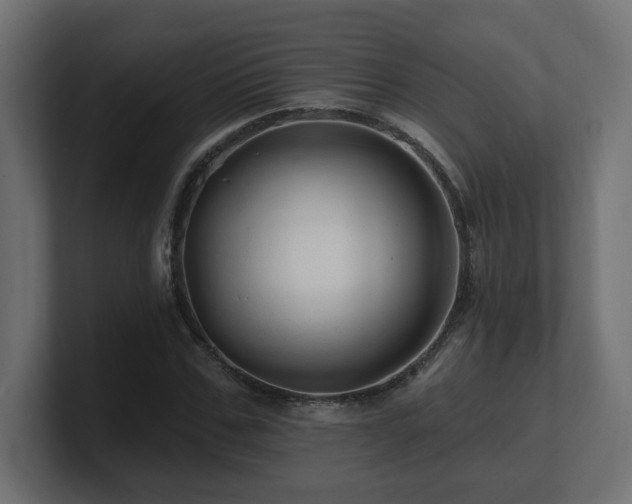 X0000101090971200806261448