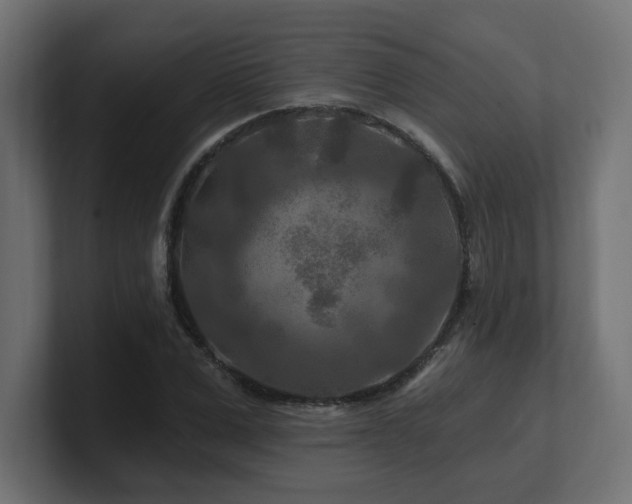 X0000101090975200806261448