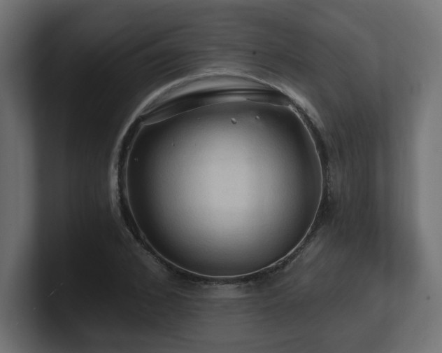 X0000101090976200806261448