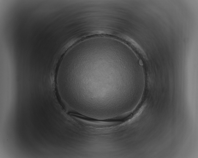 X0000101090977200806261448