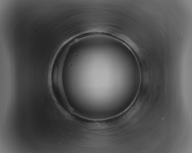 X0000101090980200806261448