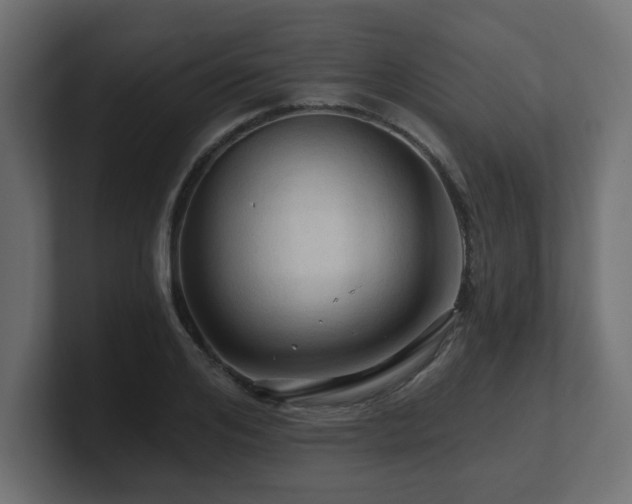 X0000101090984200806261448