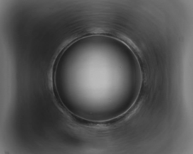 X0000101090986200806261448