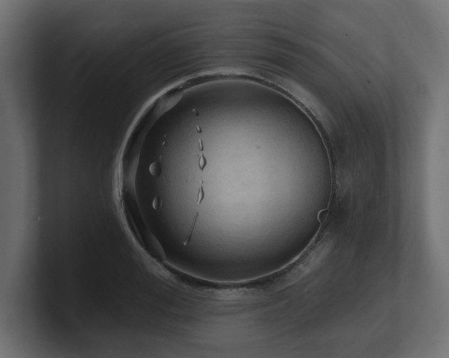 X0000101090988200806261447