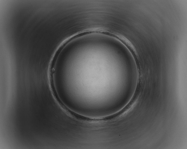 X0000101090989200806261447