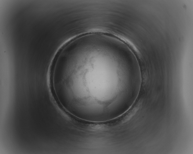 X0000101090991200806261447