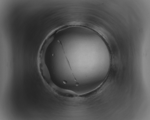 X0000101090992200806261447