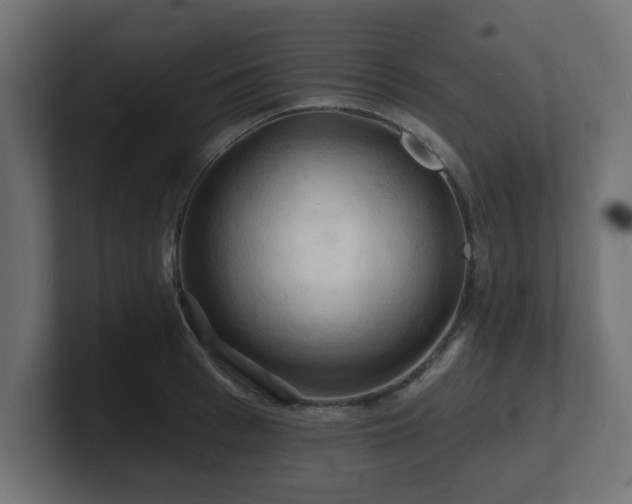 X0000101090993200806261447