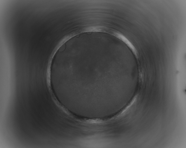 X0000101090994200806261447