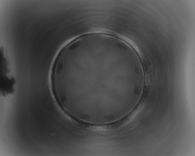 X0000101090995200806261447