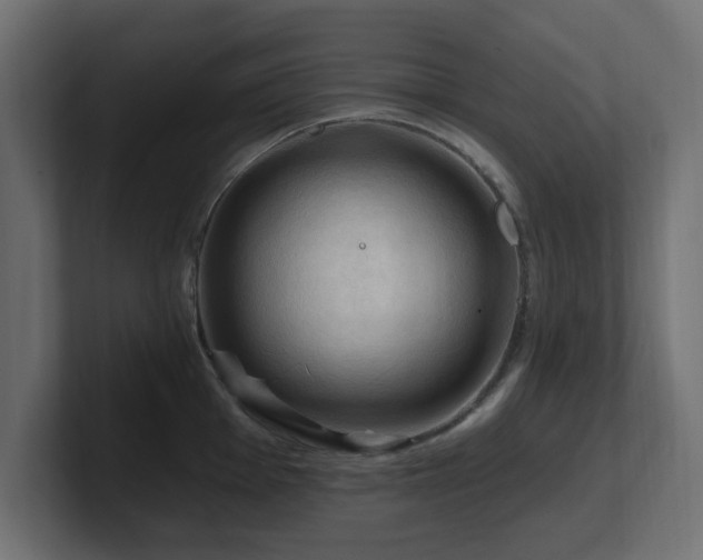 X0000101091001200806261447