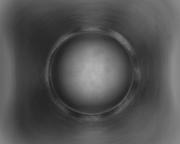 X0000101091002200806261447