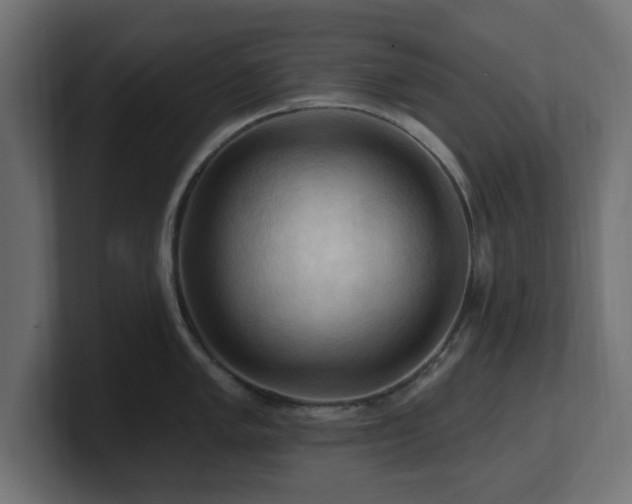 X0000101091005200806261447