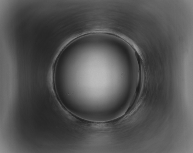 X0000101091006200806261447