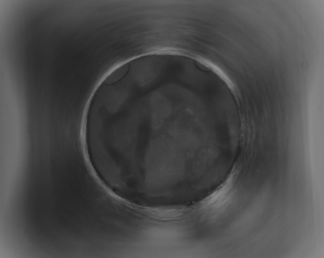 X0000101091007200806261447