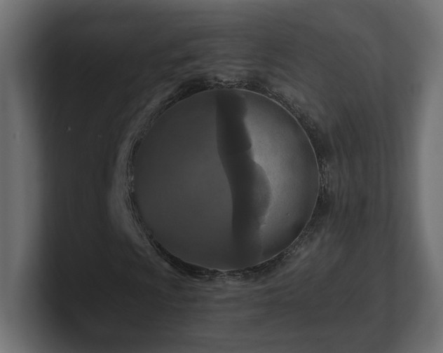 X0000101091009200806261446