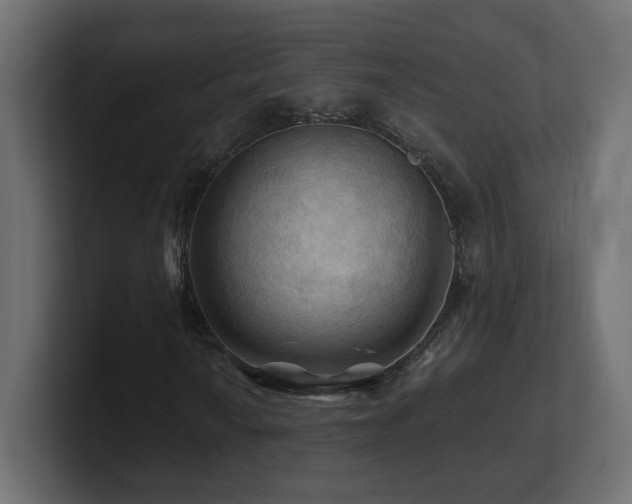 X0000101091010200806261446