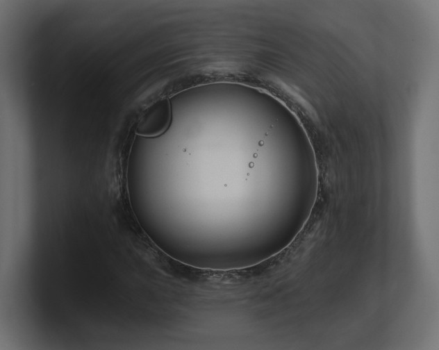 X0000101091015200806261447