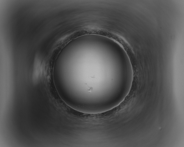 X0000101091016200806261447