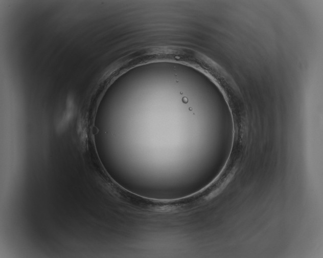 X0000101091017200806261447