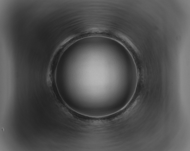 X0000101091018200806261447