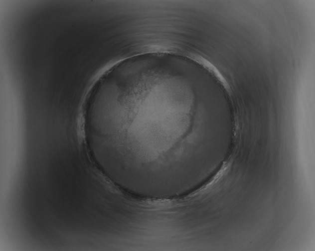 X0000101091019200806261447