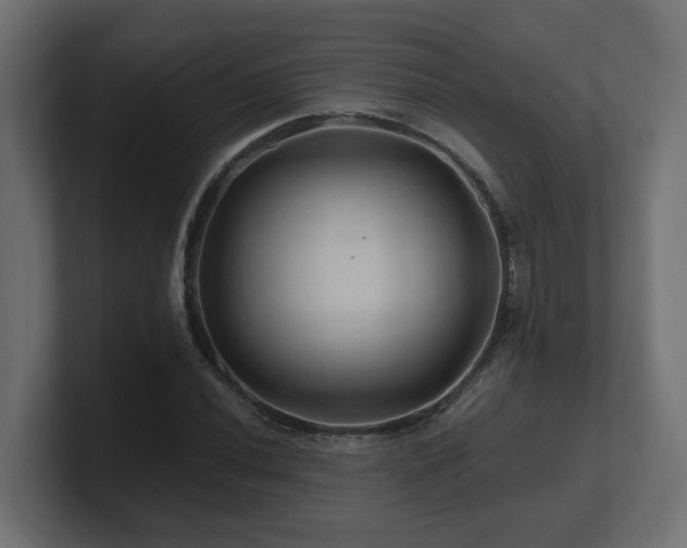 X0000101091020200806261447