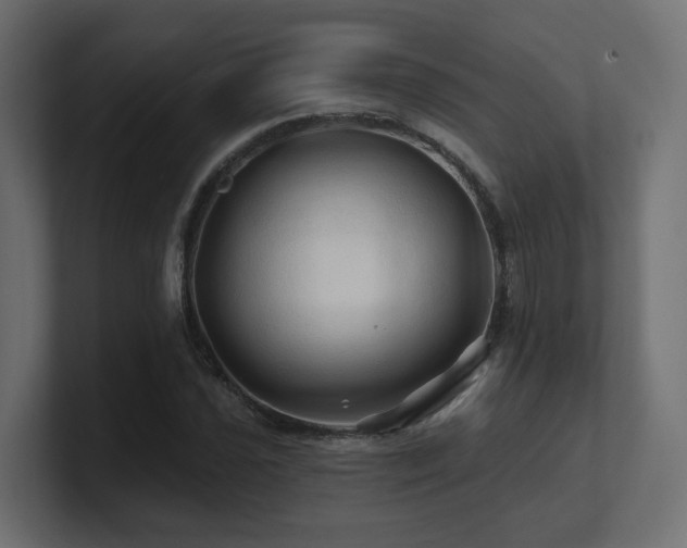 X0000101091021200806261447