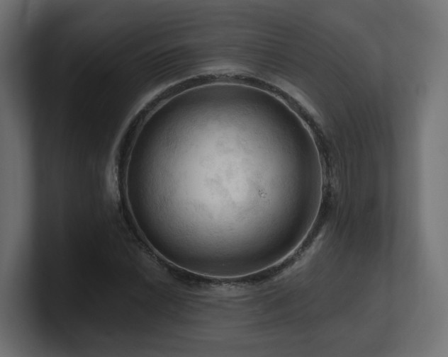 X0000101091022200806261447