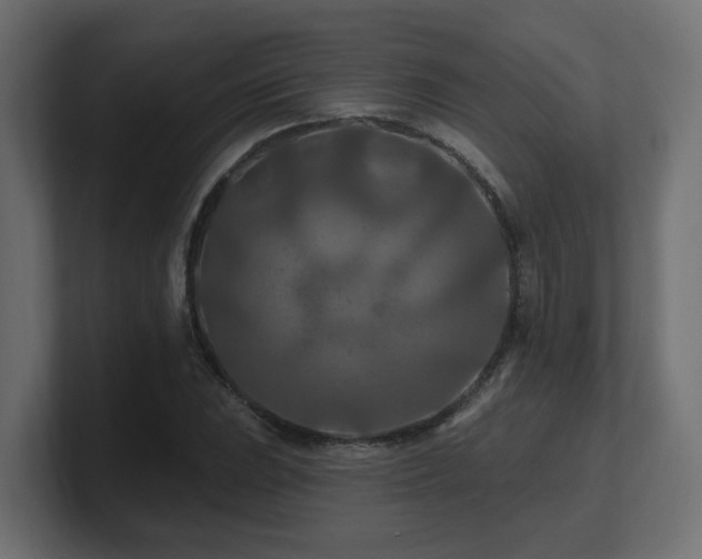 X0000101091023200806261447