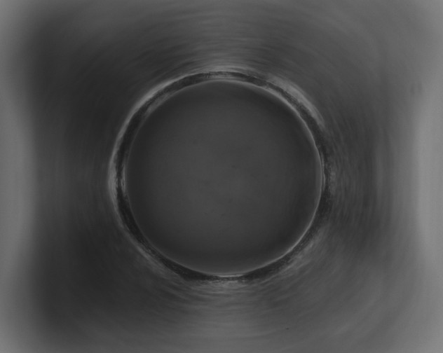 X0000101091024200806261447