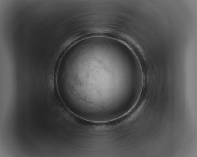 X0000101091025200806261447