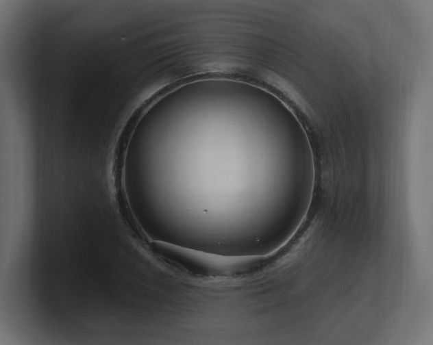 X0000101091026200806261447