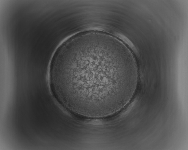 X0000101091028200806261447