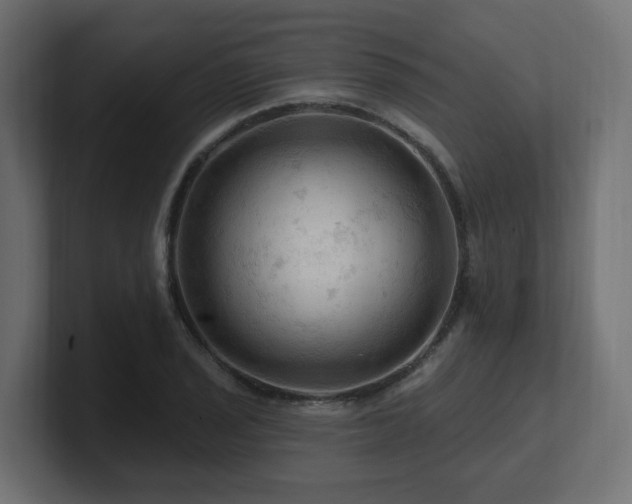 X0000101091029200806261447