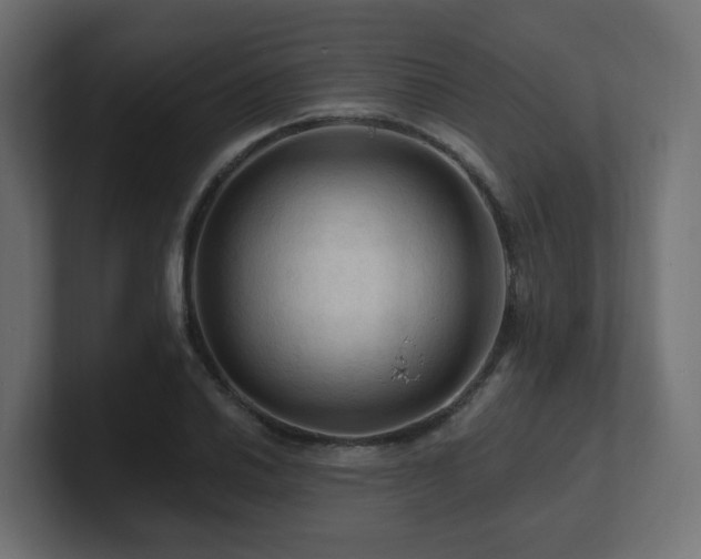 X0000101091030200806261447