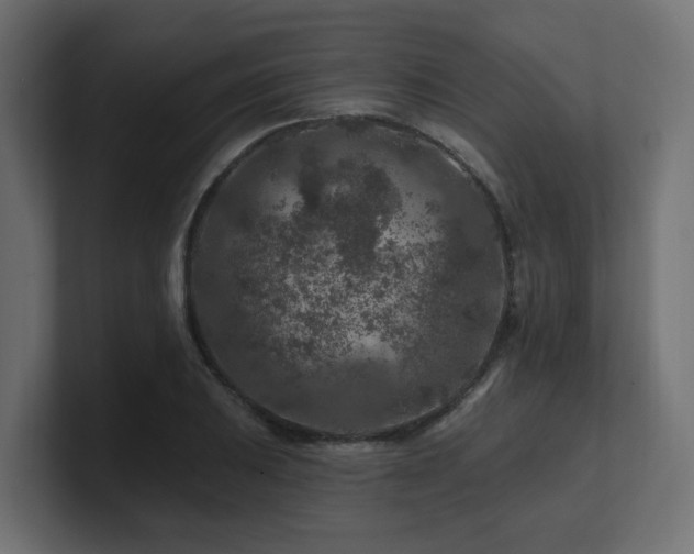 X0000101091031200806261447