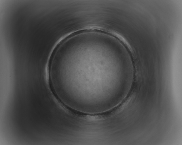 X0000101091032200806261447