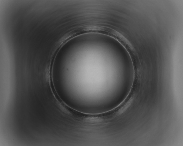 X0000101091033200806261447