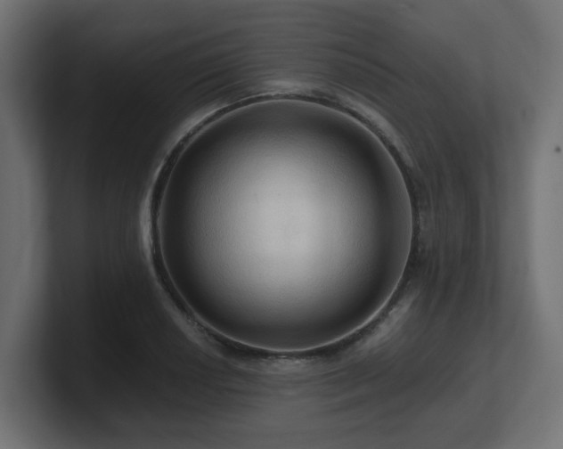 X0000101091034200806261447