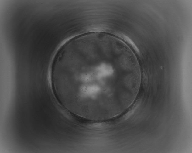 X0000101091035200806261447