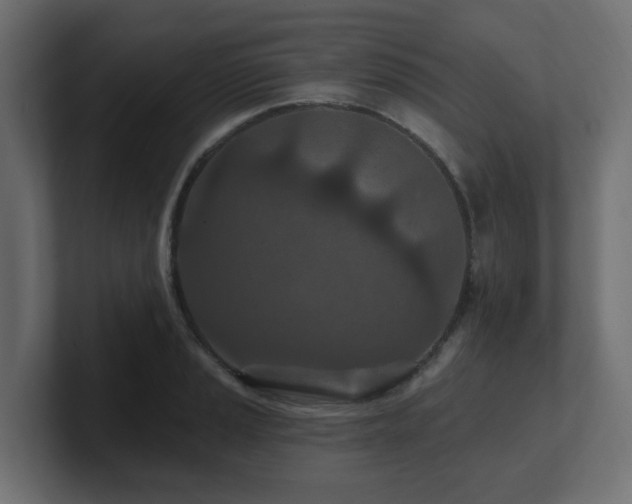 X0000101091037200806261447