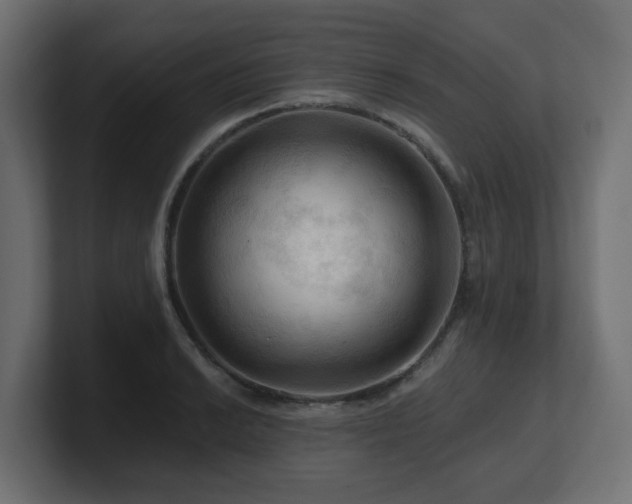 X0000101091038200806261447